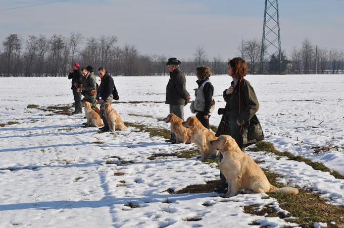 Retrieving sulla neve