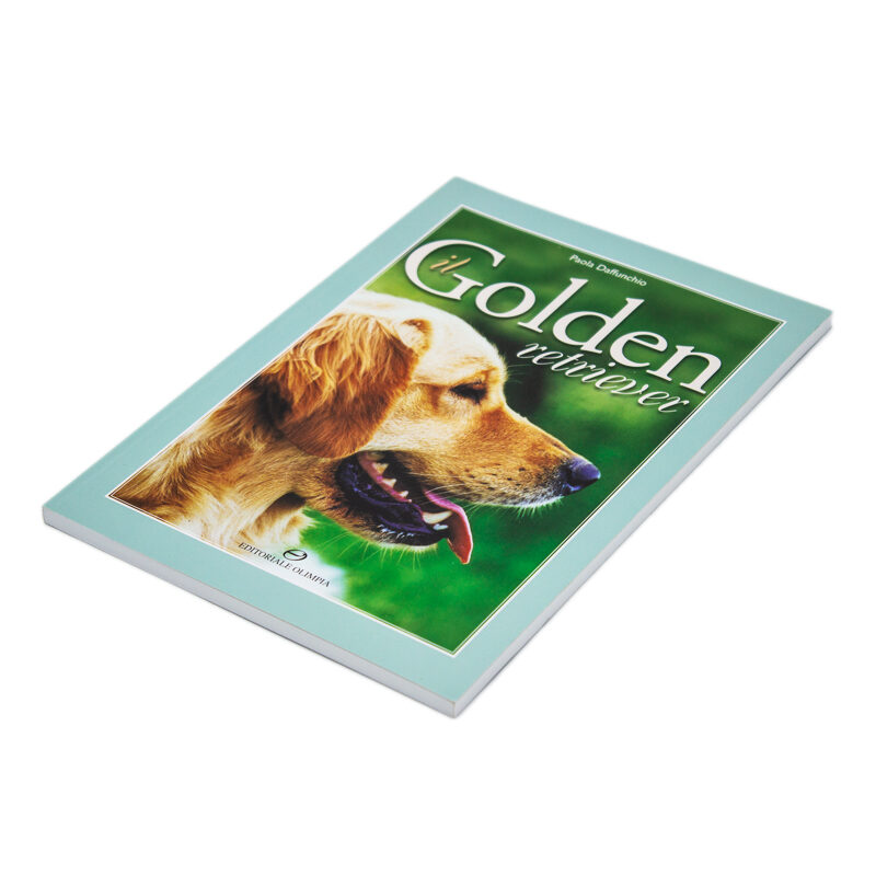 IlGoldenRetriever2