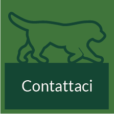 contattaci agriturismo