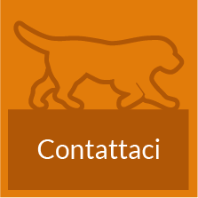 contattaci scuola