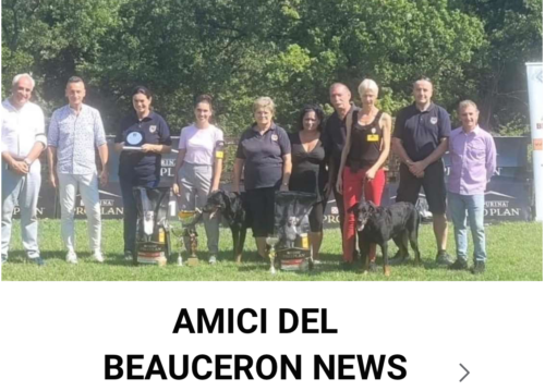 Beauceron news