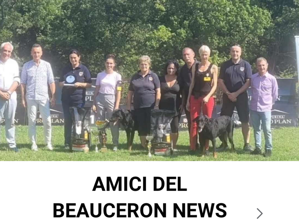 Beauceron news