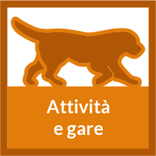 attivita gare