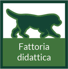 fattoria didattica 1